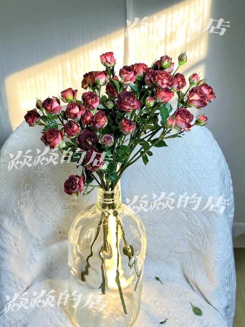 花期有时,但浪漫无价.新到货 可预定✅#花卉绿植 - 抖音